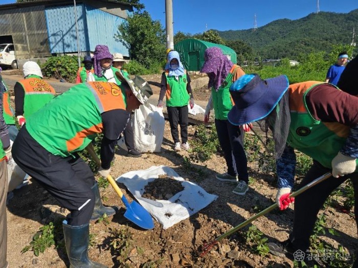 경산시 - 경산시 자율방재단, 호우 피해 농경지 복구 위해 구슬땀3.JPG