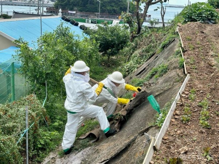 250804-2여름철 벌쏘임 사고 예방, 우리 모두의 관심이 필요합니다.jpg