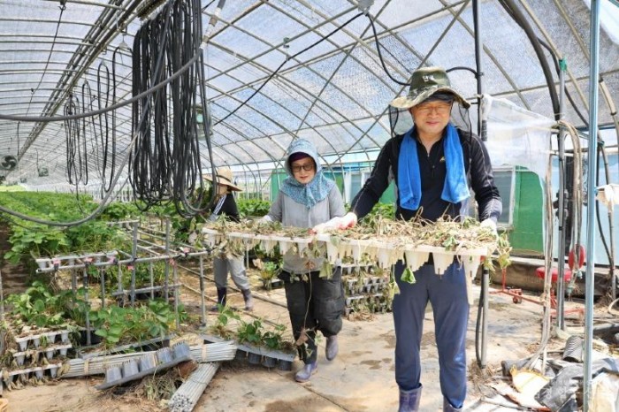 합천군 수해 복구 지원 봉사 _0224.JPG