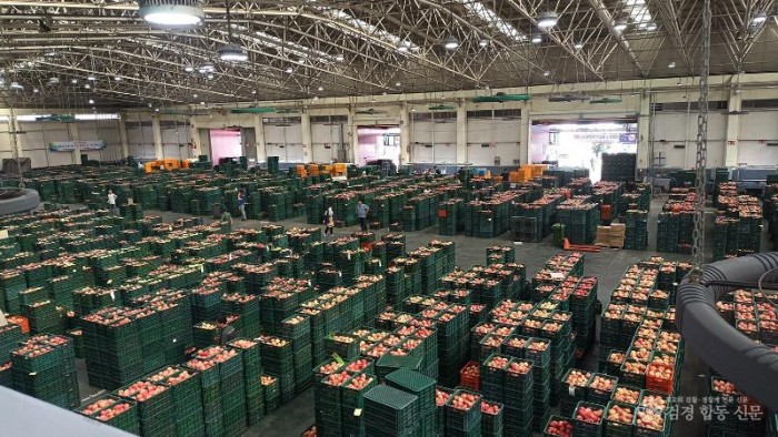 0825 안동시 농수산물도매시장, 청과부류 경매 개시 시각 30분 앞당겨.jpg