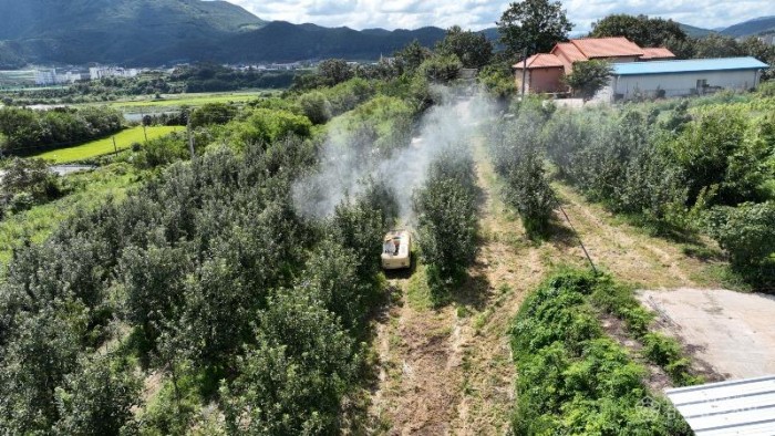 250902보도자료(청송군, 기후변화 대응 과수 냉해 예방 나선다) (3).jpg