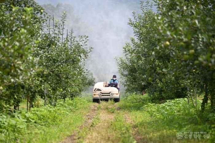 250902보도자료(청송군, 기후변화 대응 과수 냉해 예방 나선다) (2).JPG