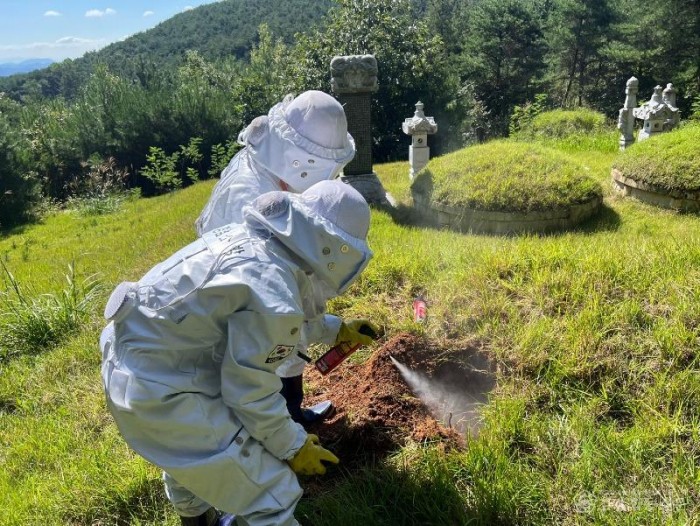 250905-1함안군 벌집제거 출동.jpg