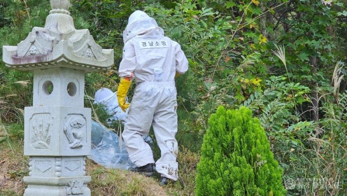 250905-1함안군 벌집제거 출동2.jpg