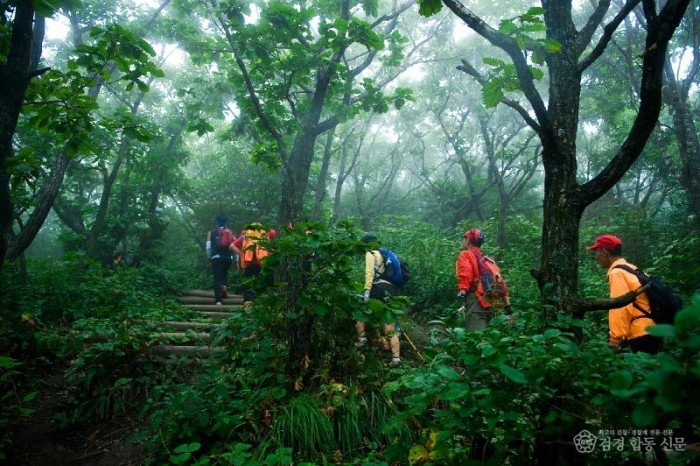 영주-2-5 (참고사진)소백산 숲길 걷기 자락.JPG