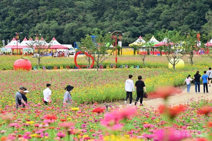 251013보도자료(백일홍이 물든 힐링 명소, 산소카페 청송정원 절정) (3).jpg