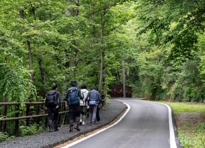 영주-1-2 (참고사진)소백산등반 삼가 야영장 코스.jpg