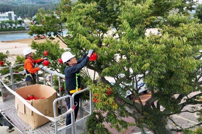 251017보도자료(가을 축제의 정수 제19회 청송사과축제 본격 준비 태세 돌입) (2).jpg