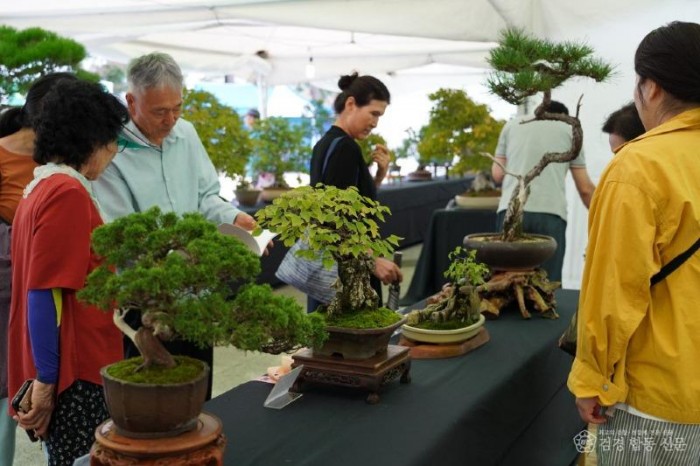 울진군은 오는 9월 26일부터 9월 28일까지 성류굴 입구, 연호문화센터, 연호공원 일원에서 제49회 성류문화제를 개최한다.(지난해 양생화 전시 모습)3.JPG