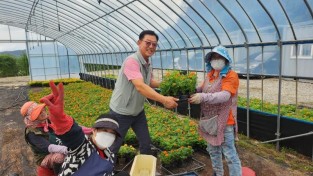 3-1. 외동읍) 꽃묘전달.JPG