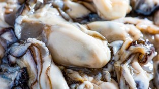 1. 천북 굴 (1).jpg