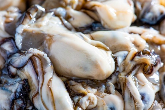 1. 천북 굴 (1).jpg