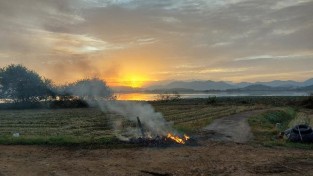 251029-3가을철 영농부산물 불법 소각 자제 당부.jpg