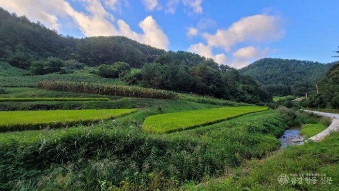 울진 금강송 산지농업시스템, 세계중요농업유산 등재(봇도랑농업).jpg
