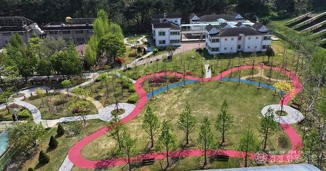 1119 2025년 안동, 녹색도시로 다시 태어나다 (3)-나눔숲.jpg