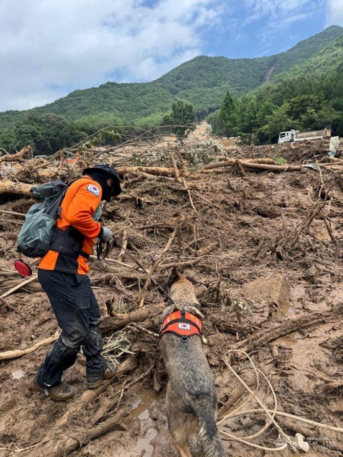 251106-1산청 수해 실종자 수색.jpg