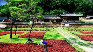 1-4 사진(영양군, 작지만 강한 부자 농촌으로).jpg