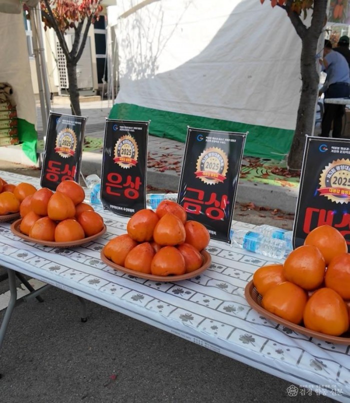 4-2 제3회 광양대봉감축제 성황리에 마무리 - 진상면(대봉감 품평회 수상 대봉감).jpg