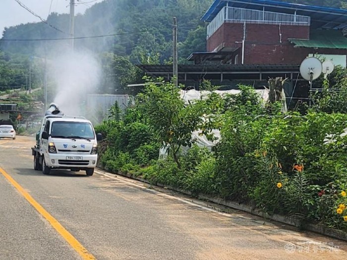 1111 위기 속 빛난 안동시의 대응력, 시민 건강과 안전 지켜냈다 (3).jpg