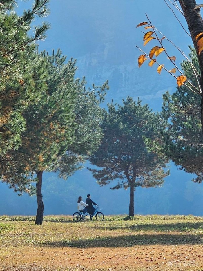 1. [상주시 인구정책실]2025년 상주시 하반기 미혼남녀 만남 프로그램(데이트온상주 시즌2 가을캠프)2.jpg