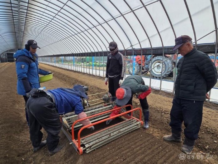 (예천군) ‘내재해형 이중구조하우스’로 안정적 인삼 생산기반 구축 (4).jpg