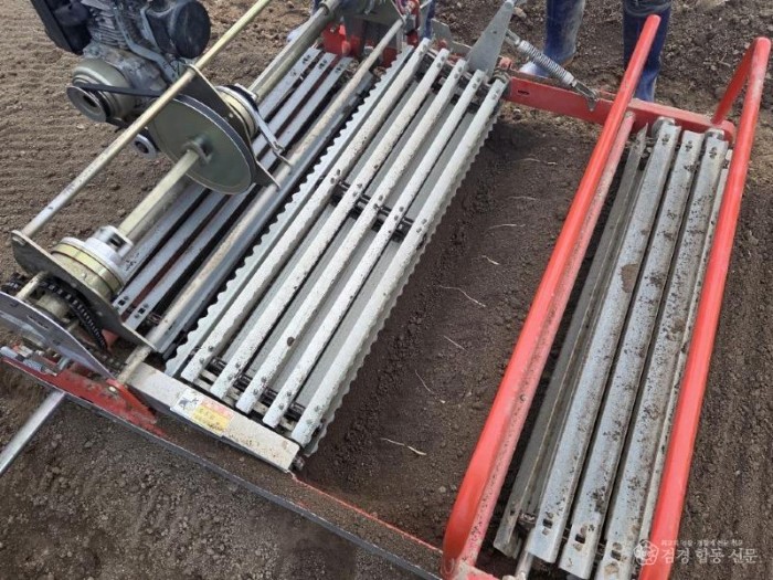 (예천군) ‘내재해형 이중구조하우스’로 안정적 인삼 생산기반 구축-인삼정식 (3).jpg