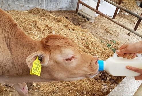 성주군사진(『초유은행』 만족도 100%)-1.jpg