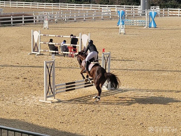 1. [상주시 국제승마장]마당제 승마대회 대회사진2.jpg