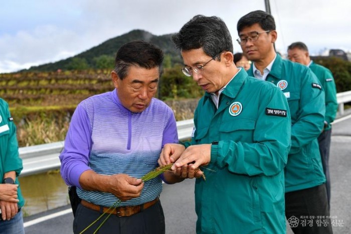 영주-3-2 영주시 상줄동에 벼 재배 지역을 방문해 벼 깨씌무늬병 현상을 점검하고 있다.jpg