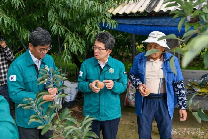 영주-3-4 순흥면 사과 생리장애 현장을 방문해 피해 상황을 점검하고 있다.jpg