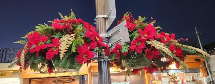 1-2. 경주시 겨울꽃 식재로 도심 가로환경 새단장_02.jpg