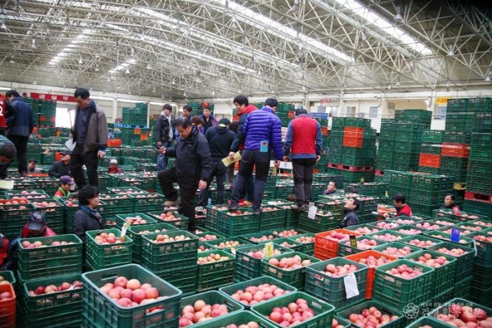 1229 안동시농수산물도매시장 신정 정기휴장 실시.JPG