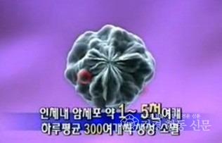 암세포 생성.소멸.jpg