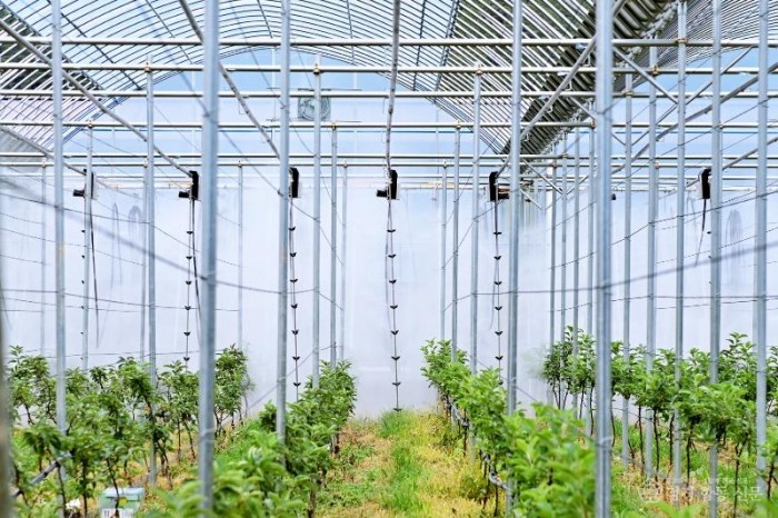 260116보도자료(청송군, 2026년 농정운영 방향 발표[미래농업 부자청송])-01 과수 고품질 시설 현대화).jpg