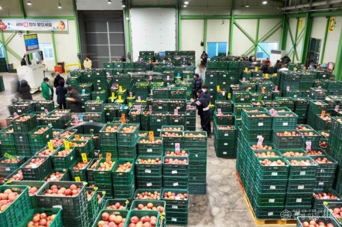 260116보도자료(청송군  2026년 농정운영 방향 발표[미래농업 부자청송])-04 산지유통기능 강화.jpg