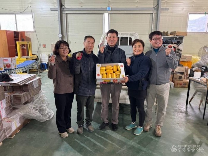 성주군사진(선남면  황금빛 참외 첫 출하!)-1.jpg