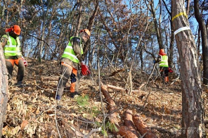 김천시  소나무재선충병 확산 ‘총력 차단’-산림과(사진3).jpg
