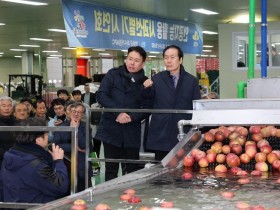 01의성군제공 사과 선별기 시연회2.jpeg