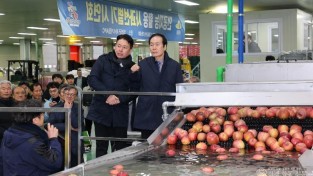 01의성군제공 사과 선별기 시연회2.jpeg