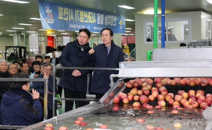 01의성군제공 사과 선별기 시연회2.jpeg