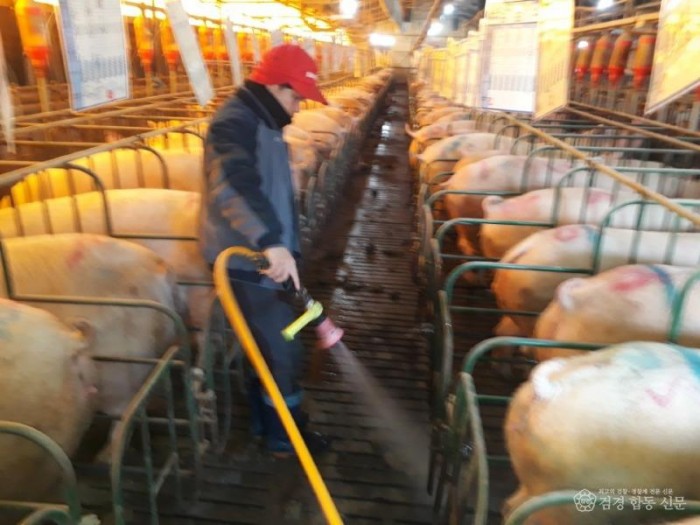 30일 (홍성군, AI·ASF 차단방역 ‘총력전’)2.jpg