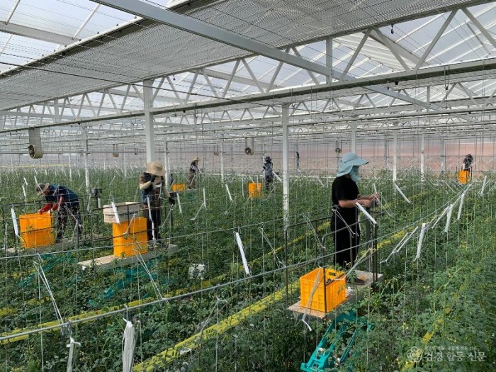 2.스마트농업지구2(청년농).jpg
