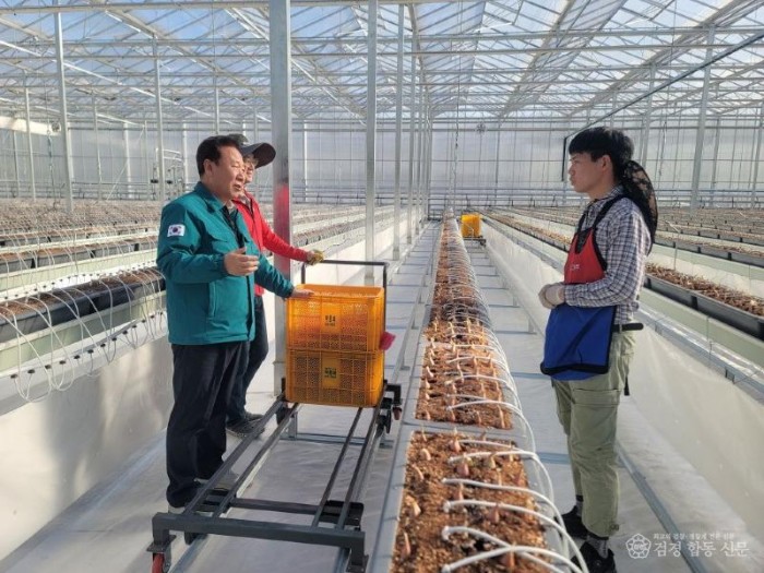 3-2. 쪽파 파종.jpg