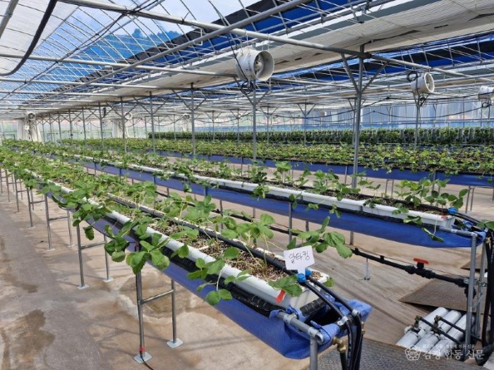 0303 안동시  2026년 ‘스마트농업 기반’ 본격 구축 (1)-스마트농업 테스트베드.jpg
