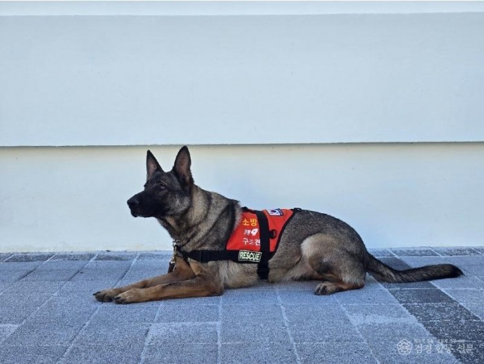 260310-1경남소방본부 구조견.jpg