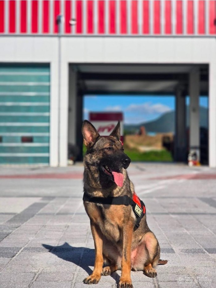 260310-1경남소방본부 구조견2.jpg