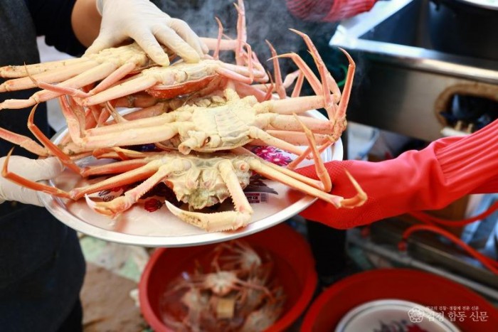 2026 울진대게와 붉은대게 축제.JPG
