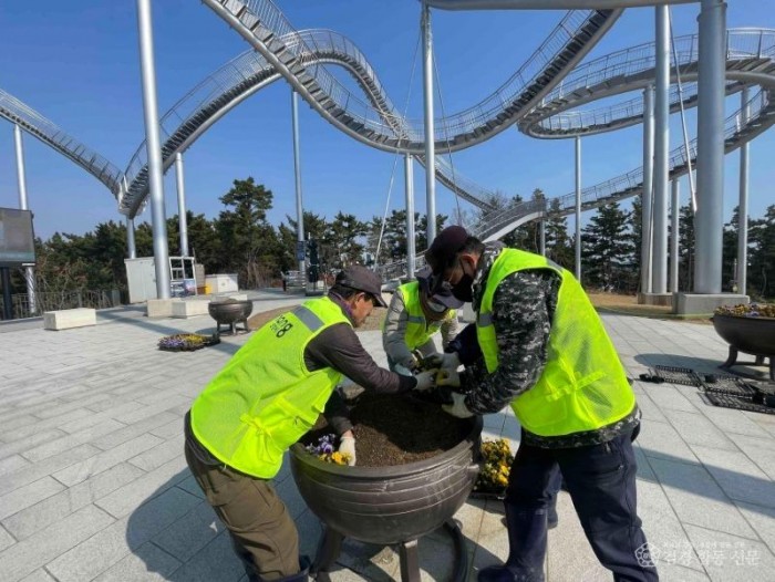 260316 포항시, 환호공원 스페이스워크 일원 봄꽃 식재…화사한 봄 경관 조성2.jpg