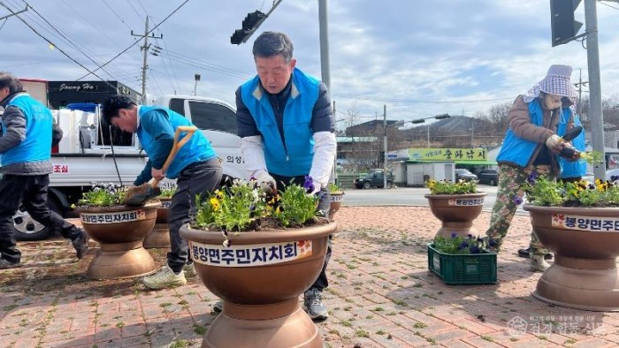 05의성군제공 봉양면 봄꽃 식재2.jpg