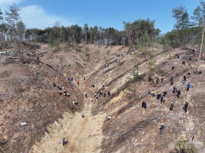 0317 안동시  제81회 식목일 기념 나무심기 행사 개최.JPG